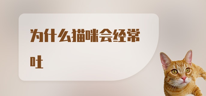 为什么猫咪会经常吐