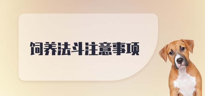 饲养法斗注意事项