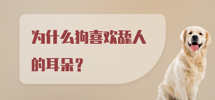 为什么狗喜欢舔人的耳朵？