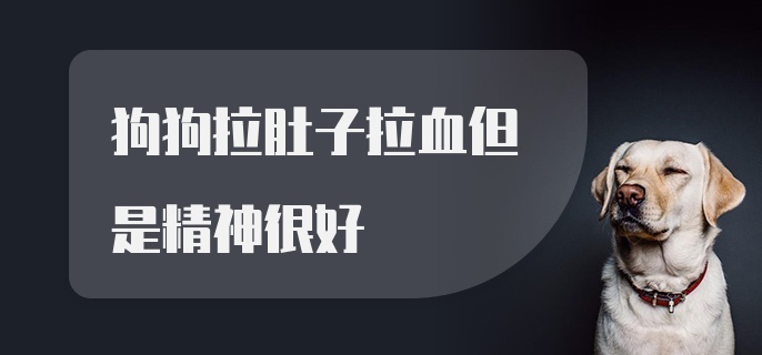 狗狗拉肚子拉血但是精神很好