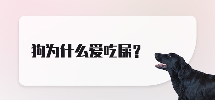 狗为什么爱吃屎？