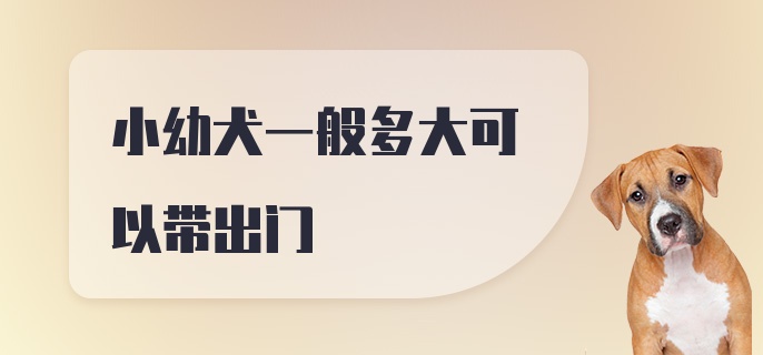 小幼犬一般多大可以带出门