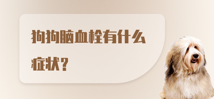 狗狗脑血栓有什么症状？