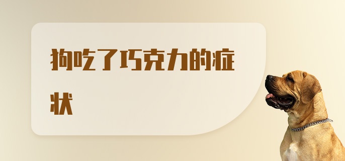 狗吃了巧克力的症状