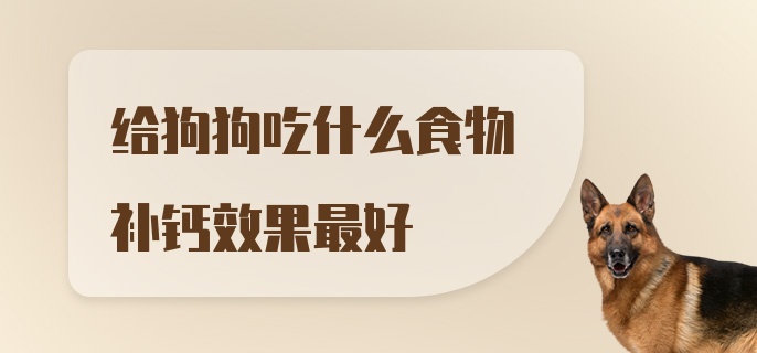 给狗狗吃什么食物补钙效果最好