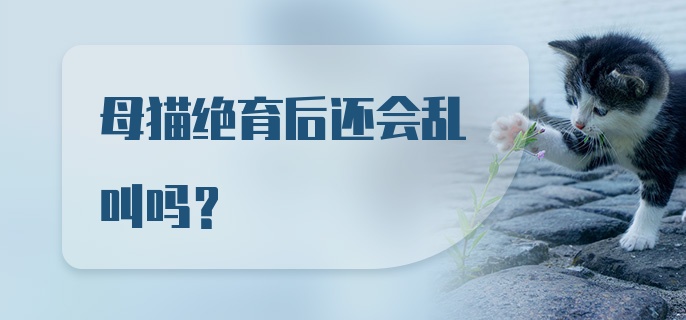 母猫绝育后还会乱叫吗?