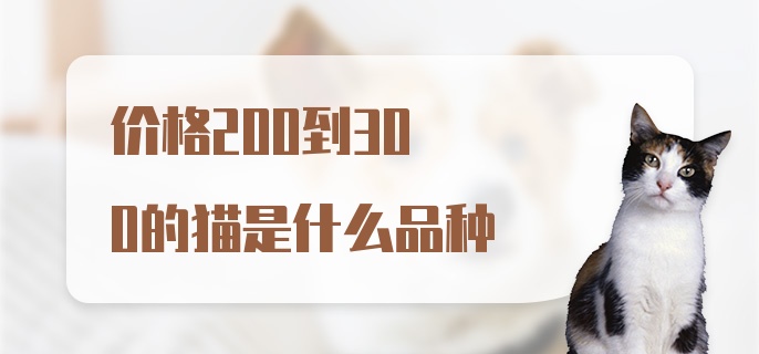 价格200到300的猫是什么品种