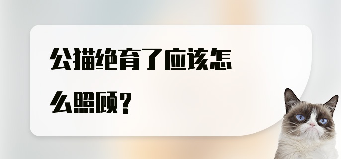 公猫绝育了应该怎么照顾？