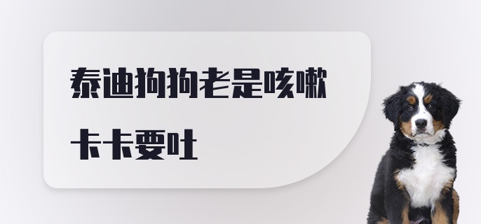 泰迪狗狗老是咳嗽卡卡要吐