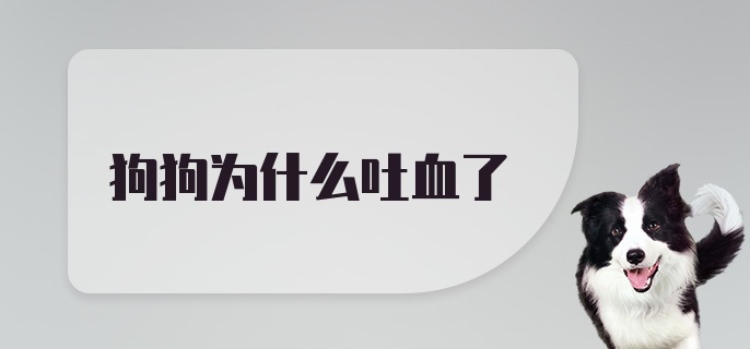 狗狗为什么吐血了