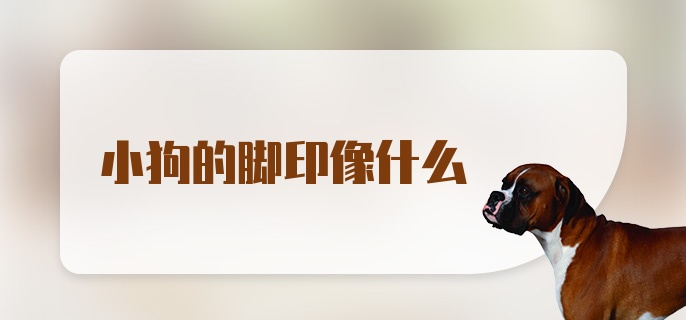 小狗的脚印像什么