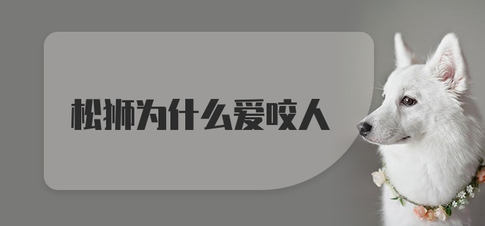 松狮为什么爱咬人