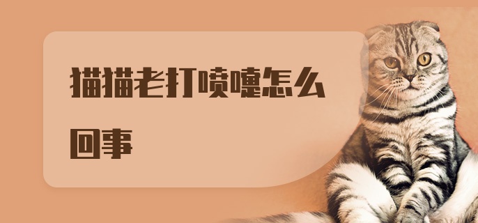 猫猫老打喷嚏怎么回事