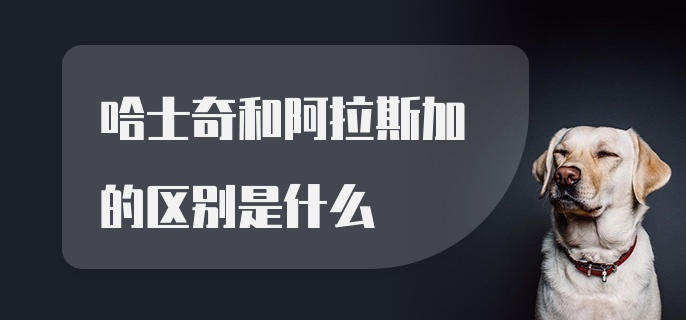 哈士奇和阿拉斯加的区别是什么