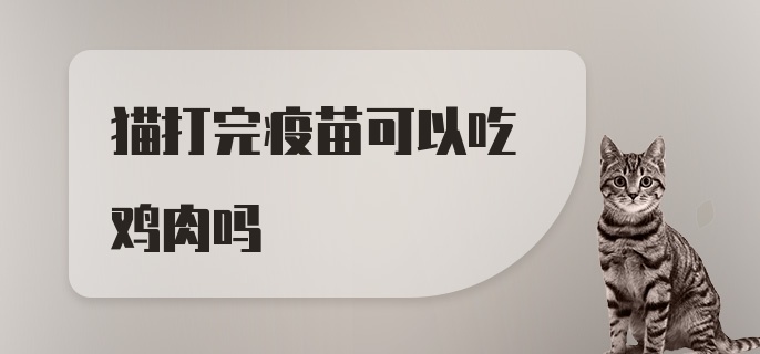 猫打完疫苗可以吃鸡肉吗