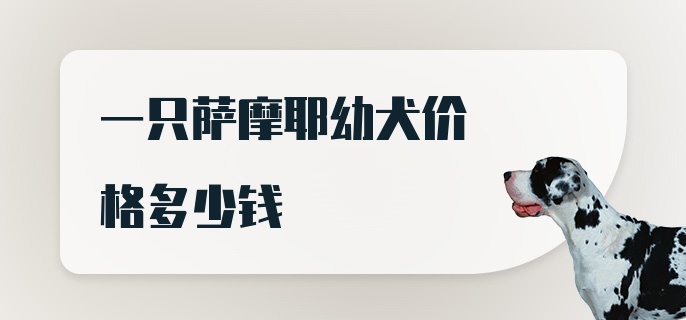 一只萨摩耶幼犬价格多少钱