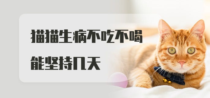 猫猫生病不吃不喝能坚持几天