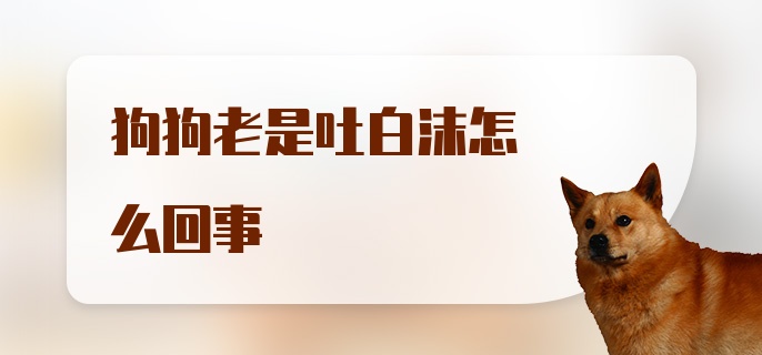 狗狗老是吐白沫怎么回事