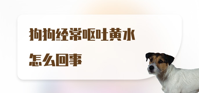 狗狗经常呕吐黄水怎么回事