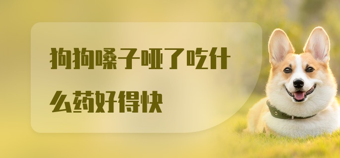 狗狗嗓子哑了吃什么药好得快