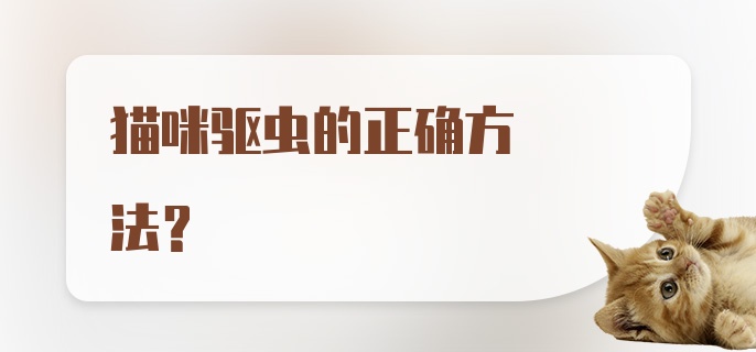 猫咪驱虫的正确方法?