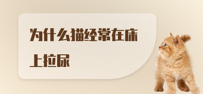 为什么猫经常在床上拉尿