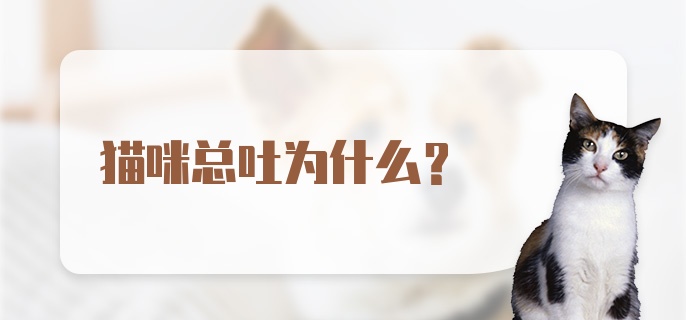 猫咪总吐为什么？