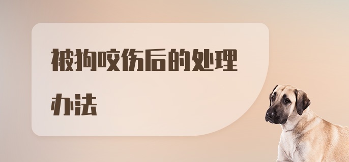 被狗咬伤后的处理办法