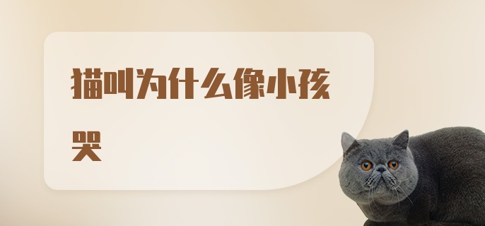 猫叫为什么像小孩哭