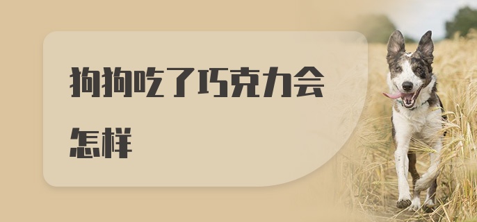 狗狗吃了巧克力会怎样