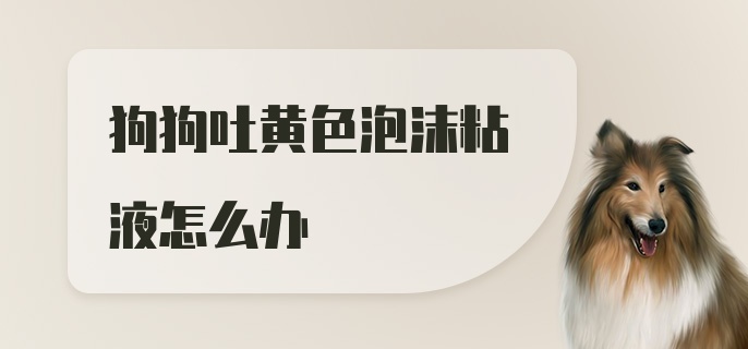 狗狗吐黄色泡沫粘液怎么办