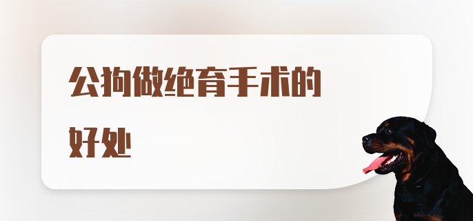 公狗做绝育手术的好处