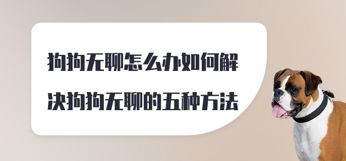 狗狗无聊怎么办如何解决狗狗无聊的五种方法