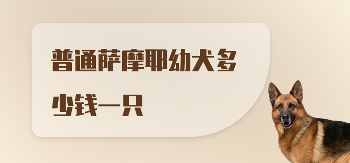 普通萨摩耶幼犬多少钱一只