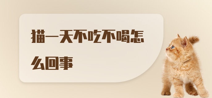 猫一天不吃不喝怎么回事