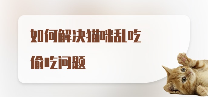 如何解决猫咪乱吃偷吃问题