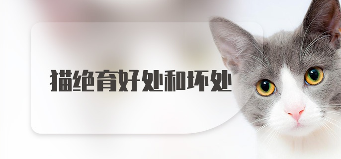 猫绝育好处和坏处