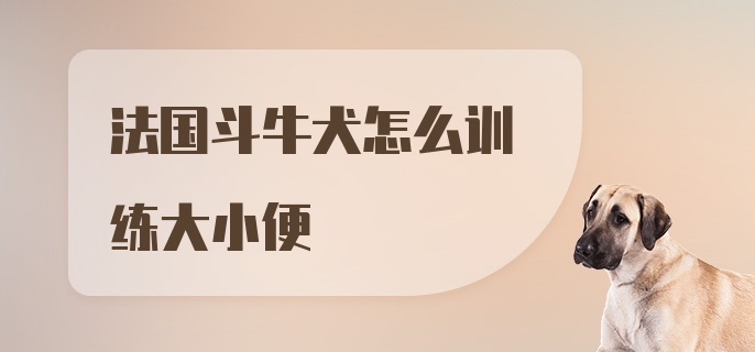 法国斗牛犬怎么训练大小便