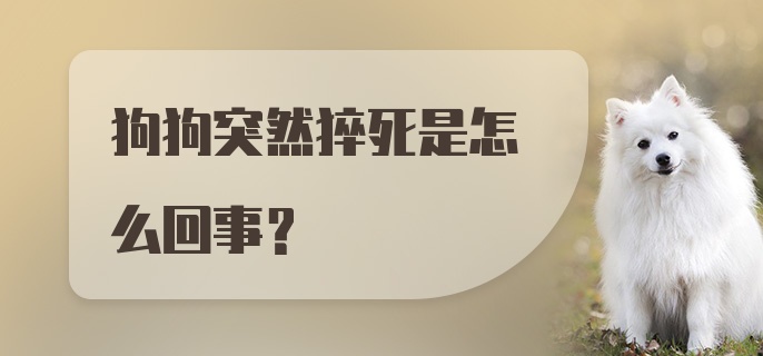 狗狗突然猝死是怎么回事？