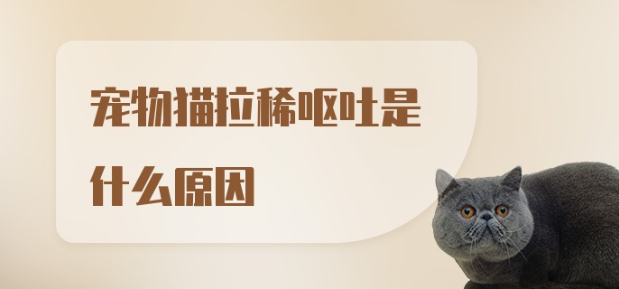 宠物猫拉稀呕吐是什么原因