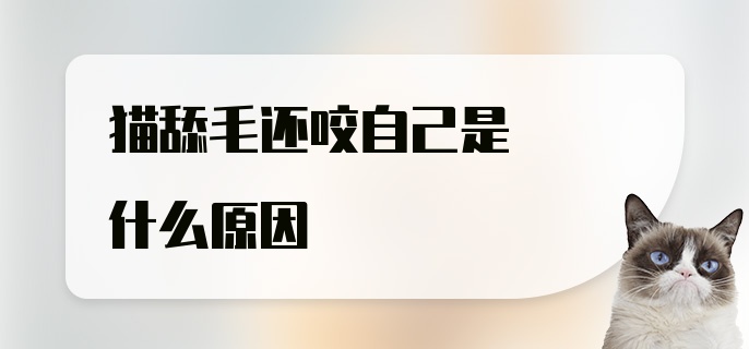 猫舔毛还咬自己是什么原因