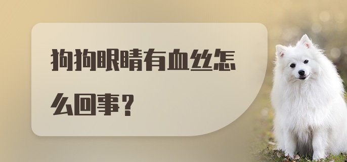 狗狗眼睛有血丝怎么回事？