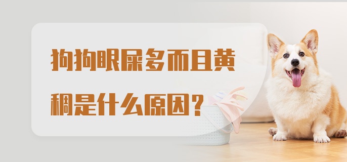 狗狗眼屎多而且黄稠是什么原因？