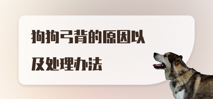 狗狗弓背的原因以及处理办法