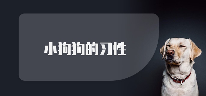 小狗狗的习性