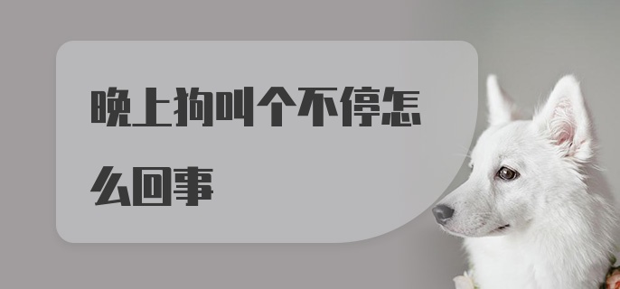 晚上狗叫个不停怎么回事