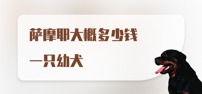 萨摩耶大概多少钱一只幼犬