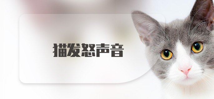 猫发怒声音