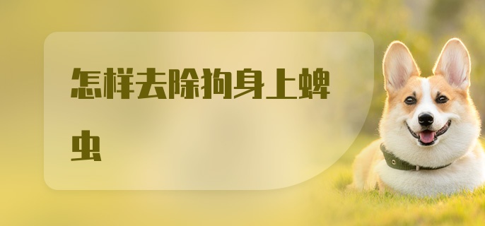 怎样去除狗身上蜱虫