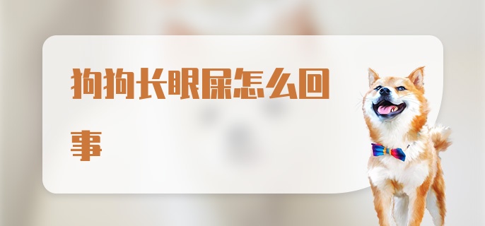 狗狗长眼屎怎么回事